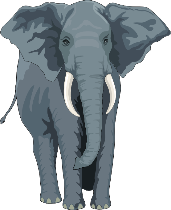 elephant clipart task