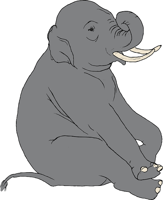 elephant clipart trainer
