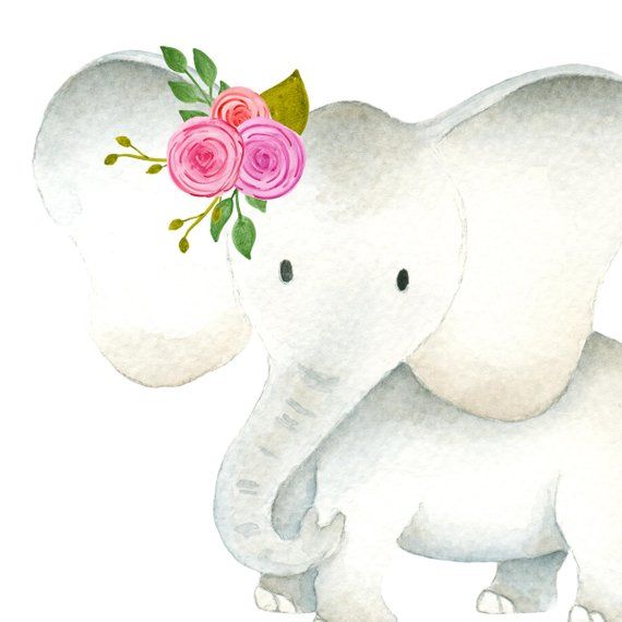 elephant clipart watercolor