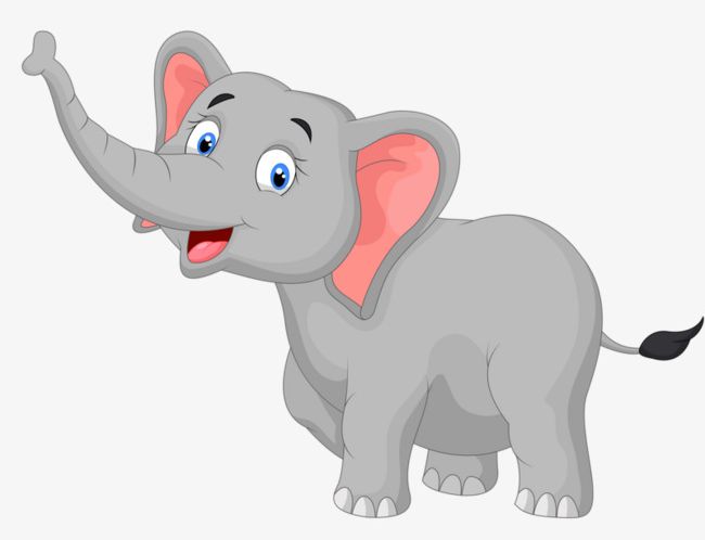 Elephant clipart wild animal. A baby png animals