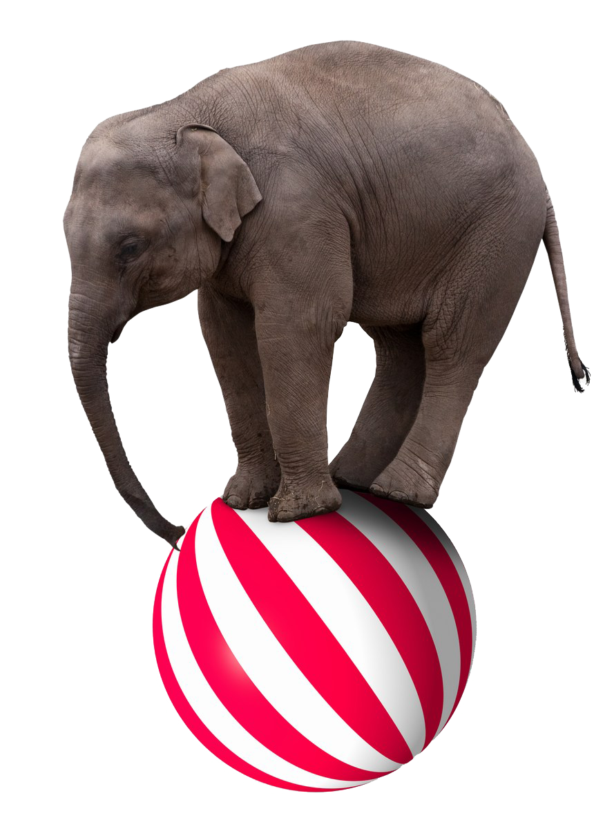 elephants clipart ball