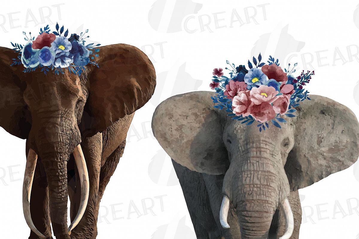 elephants clipart floral