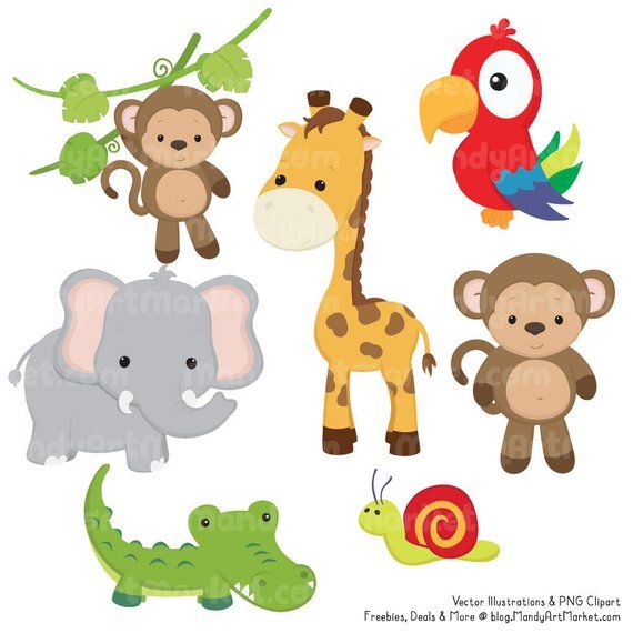 elephants clipart jungle animal