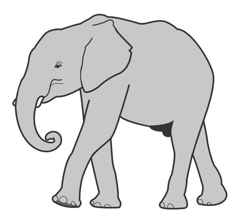 javan elephant outline