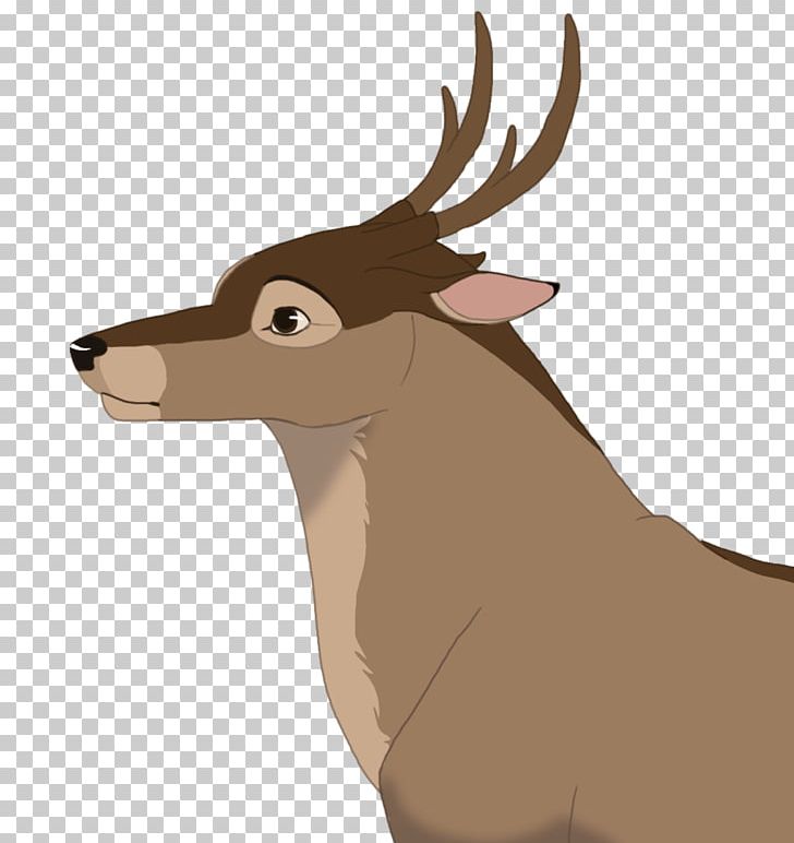 Elk clipart animated. Reindeer fauna snout wildlife