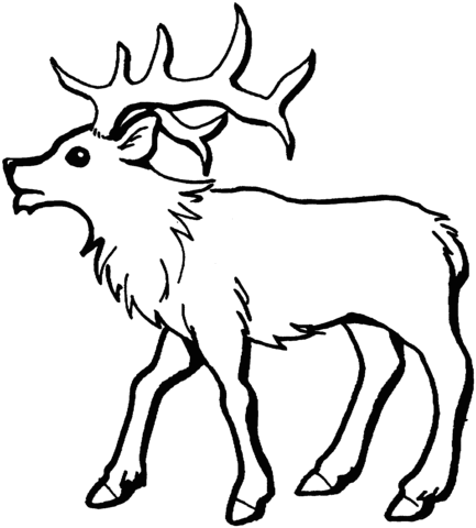 elk clipart coloring