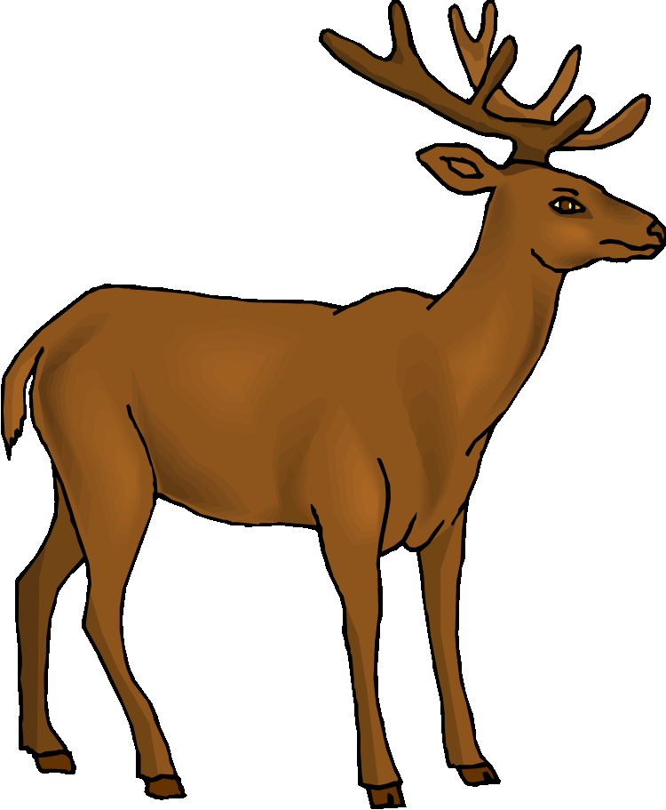 elk clipart dear animal