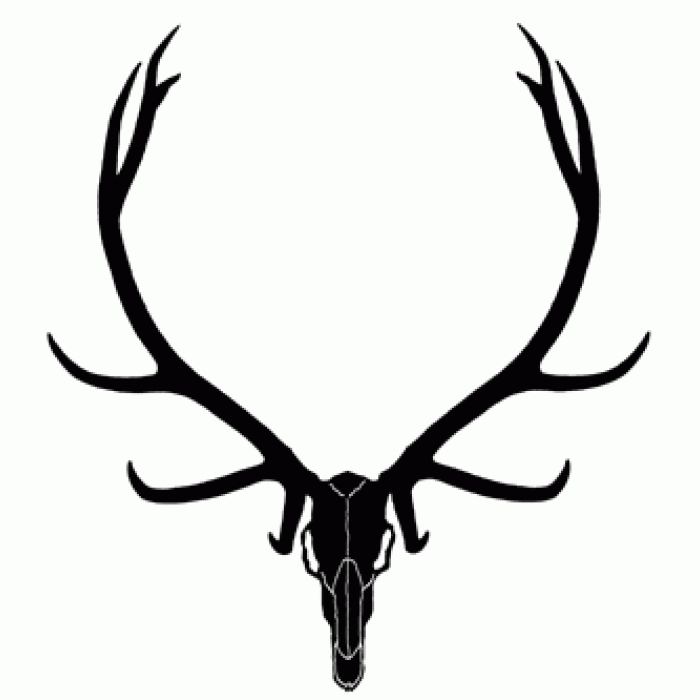 Elk clipart european mount. Skull clip art library