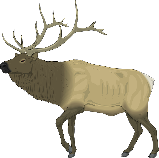 elk clipart fur animal