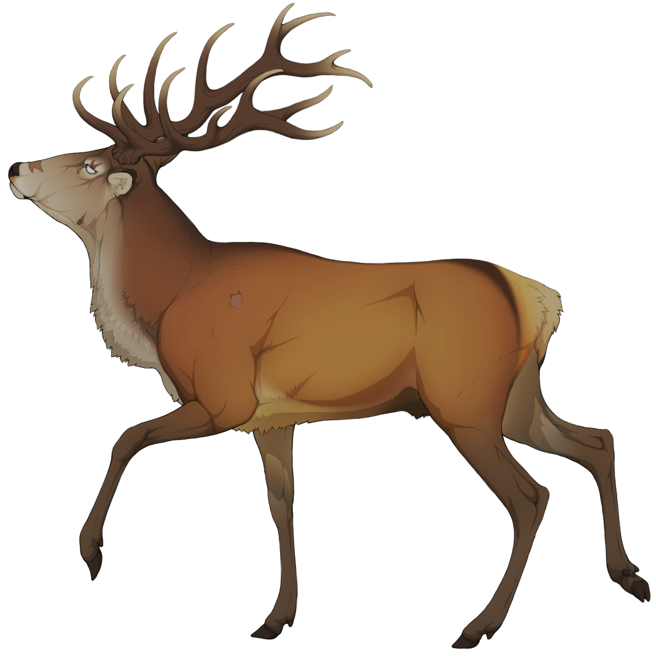 elk clipart golden deer