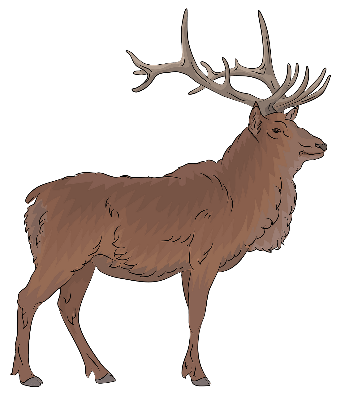 Elk clipart real deer. Free download creazilla 
