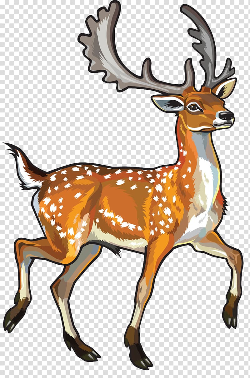 elk clipart spotted deer