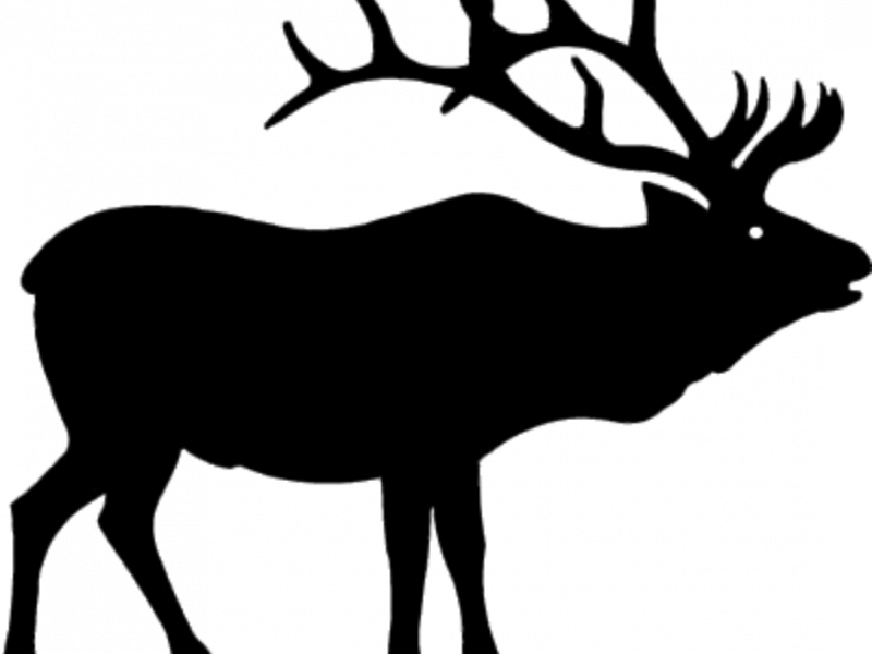 Elk clipart walking. Free download best on