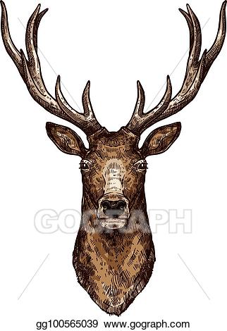 Vector art deer or. Elk clipart wild animal