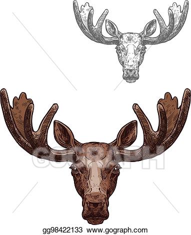 Elk clipart wild animal. Vector art moose or