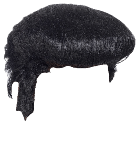 Elvis clipart wig. Transparent png stickpng 