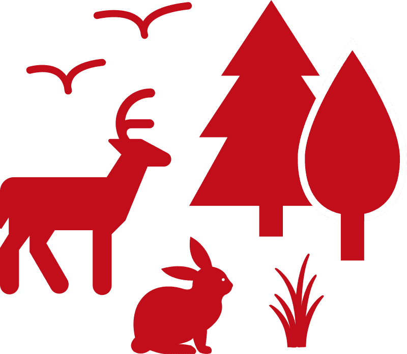 Sustainability schwenk to protect. Environment clipart animal