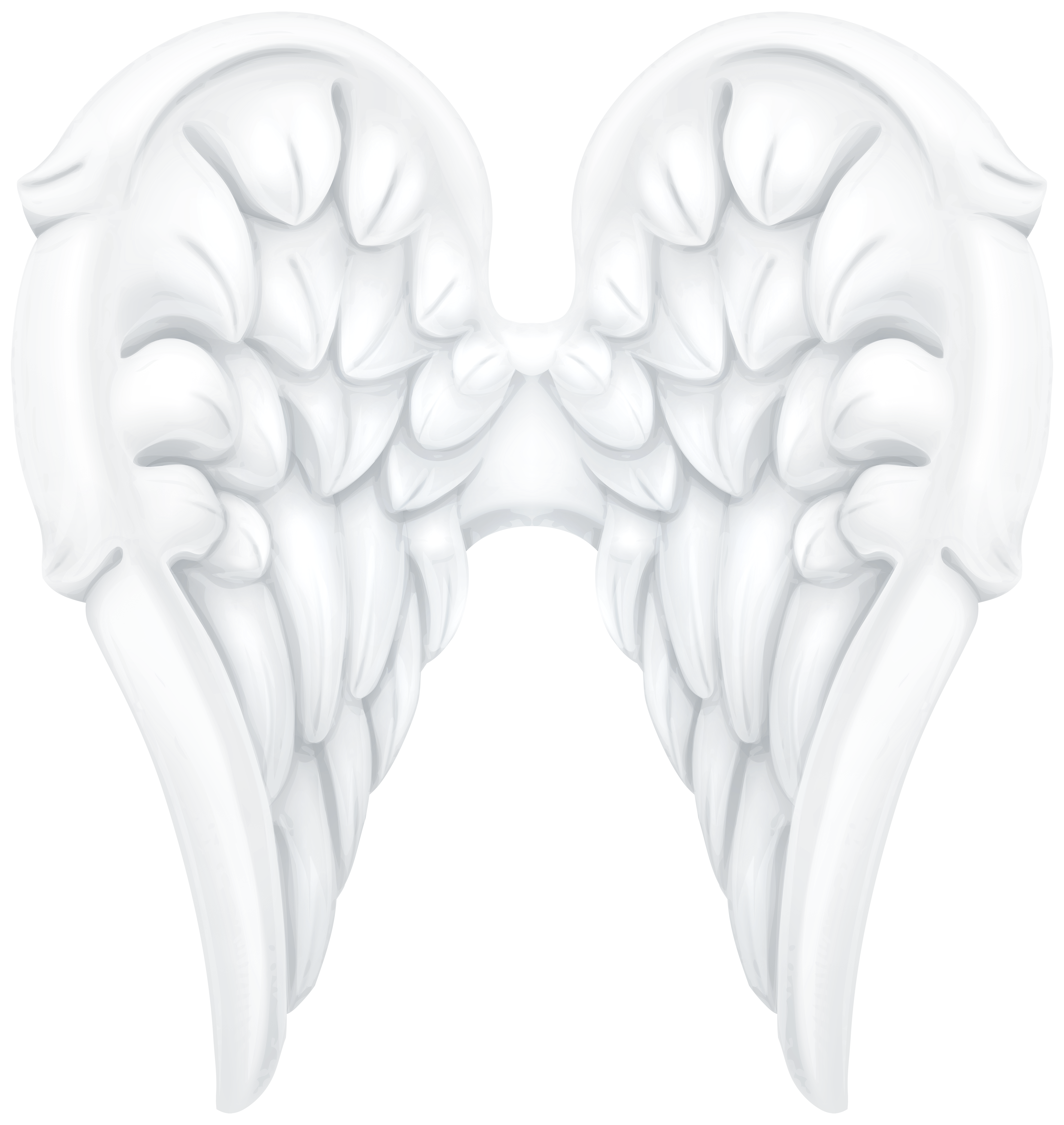 White wings clip art. Wing clipart baby angel