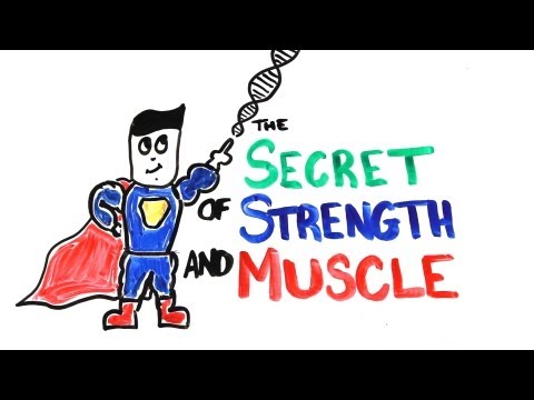 muscle clipart muscular force
