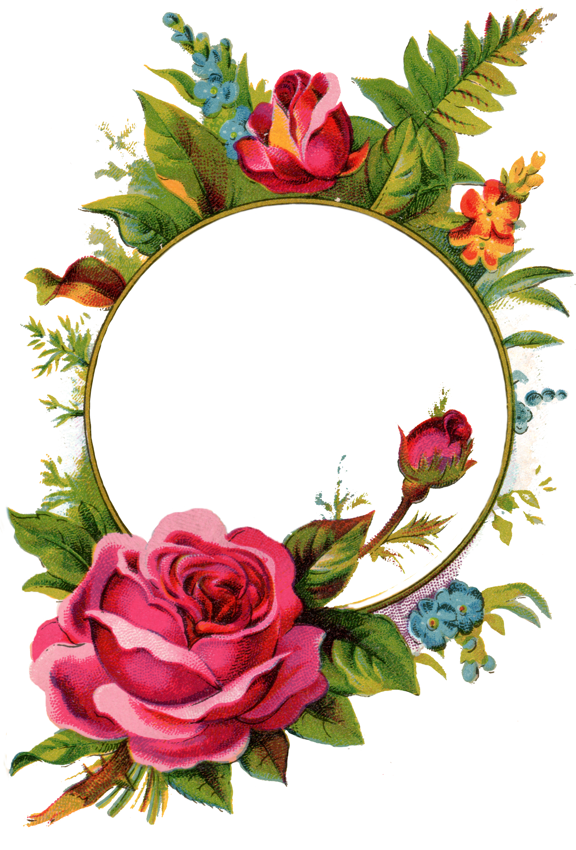 Engagement clipart rose. Free stock images frame