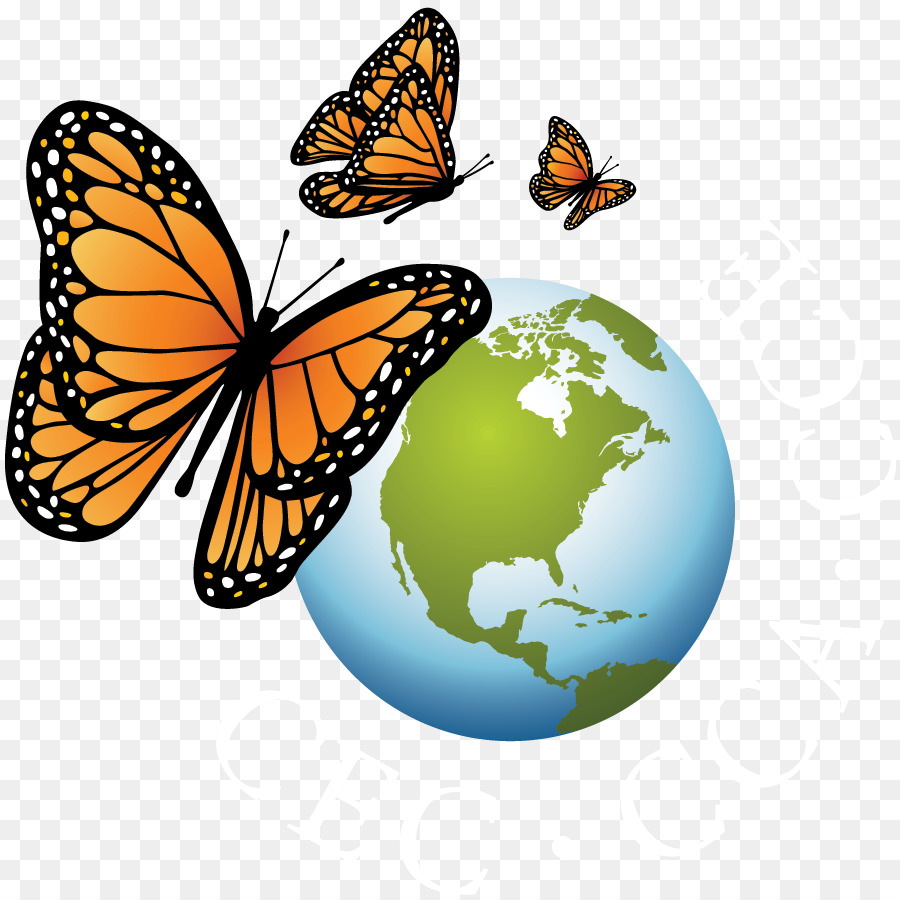 Environment clipart cooperation. Wood background butterfly graphics