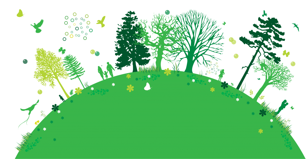 environment clipart ecosystem