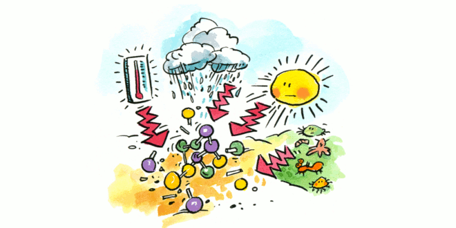 environment clipart environmental condition