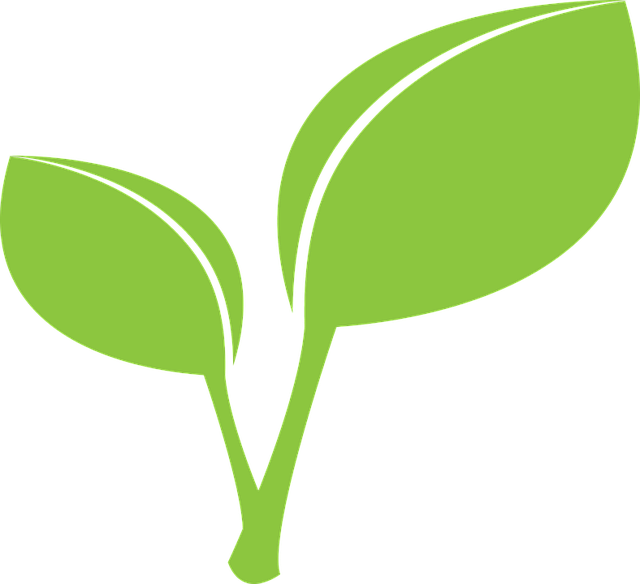 environment clipart healthy plant