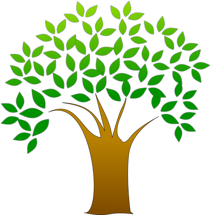 environment clipart healthy plant
