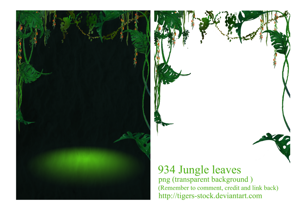 jungle clipart forest