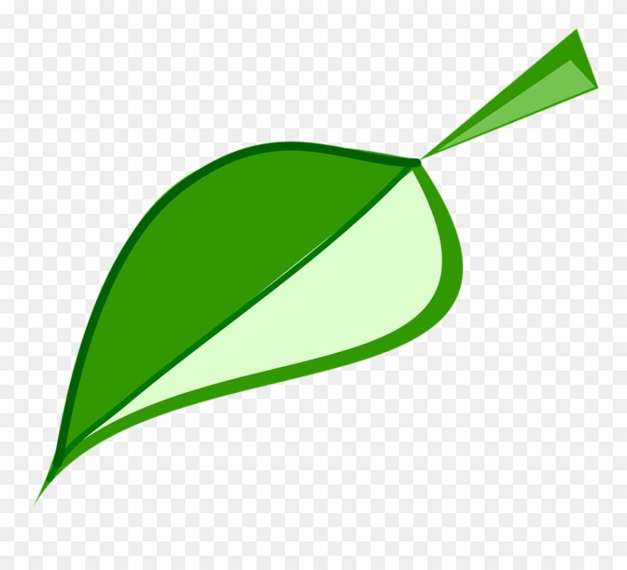 Green hoja verde medio. Environment clipart leaf