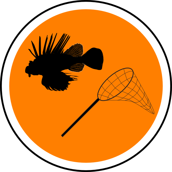 orange clipart objects