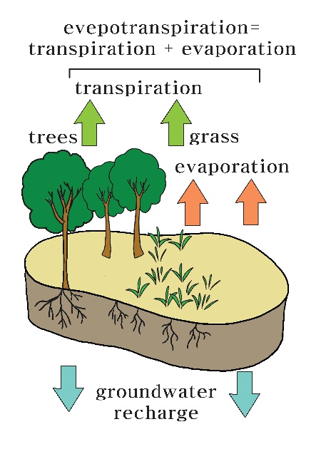 Transpiration and evapotranspiration . Evaporation clipart soil