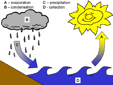 Evaporation clipart sun. The water cycle 