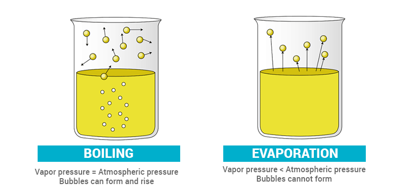 What is factor affecting. Evaporation clipart vaporization