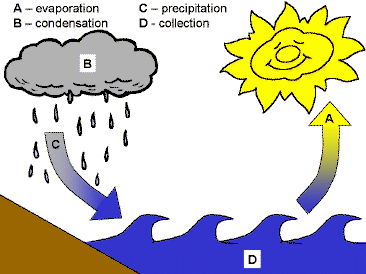 Evaporation clipart warm water. The cycle 
