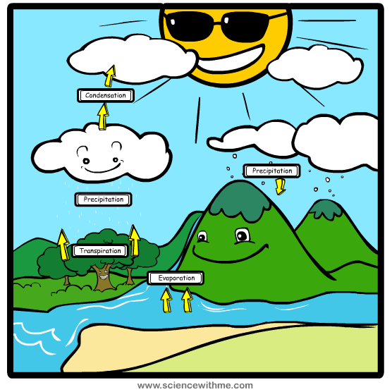 Evaporation clipart water cycle. What is of th