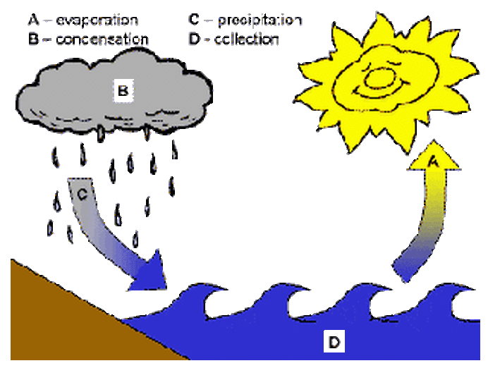 The untitled . Evaporation clipart water cycle
