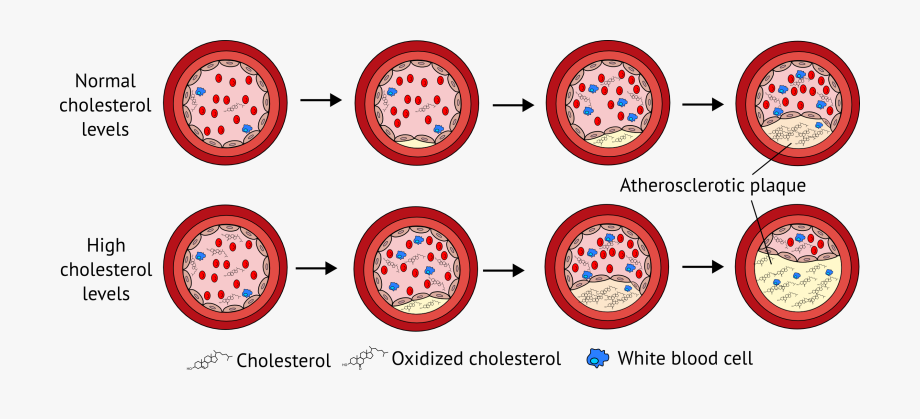 evidence clipart topic