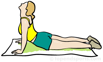Exercising clipart flexibility exercise. Free download best 