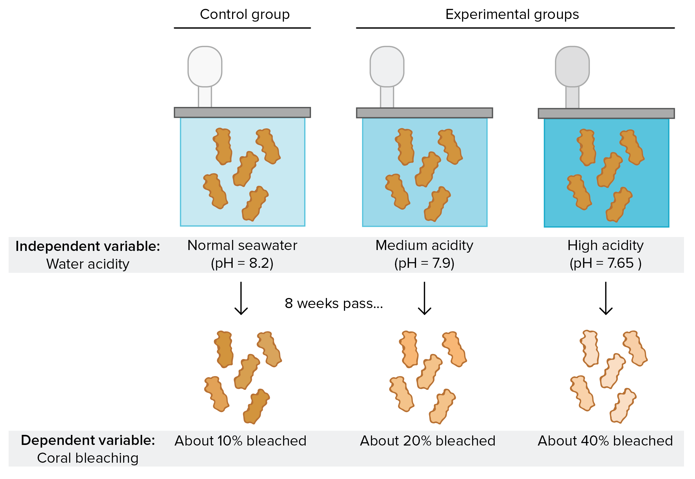 Experiment Clipart Dependent Variable Experiment Dependent Variable 