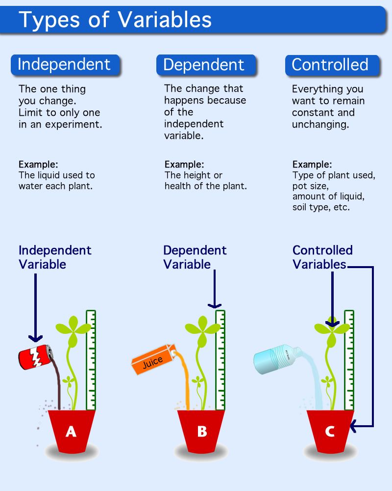 Experiment clipart dependent variable. Description of independent and