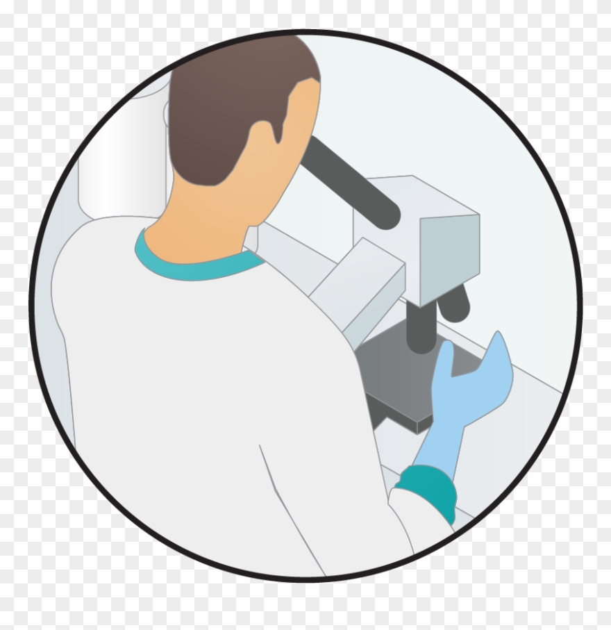 Sample science clip art. Experiment clipart medical laboratory