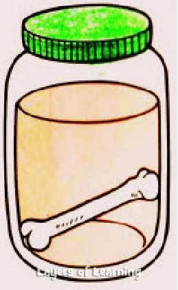 Bending bones senior holiday. Experiment clipart science and health