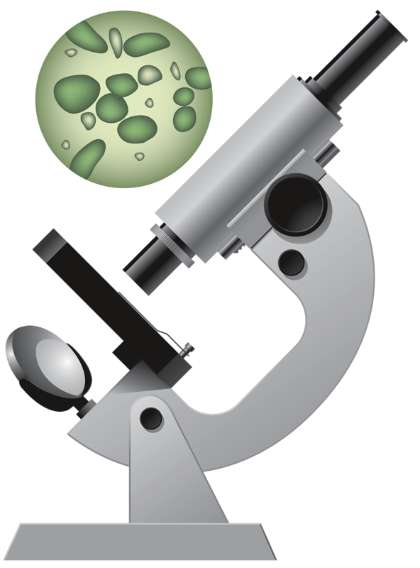 red clipart microscope