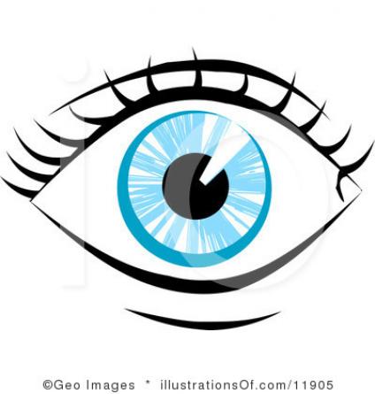 Human eye clip art. Eyeballs clipart sense sight