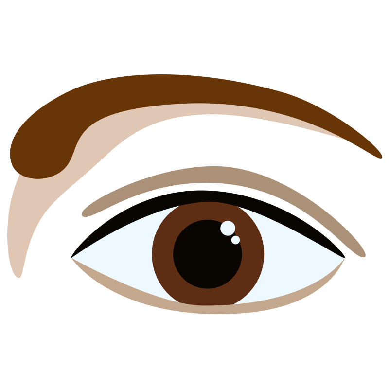 Eye clipart brow. How to shape your