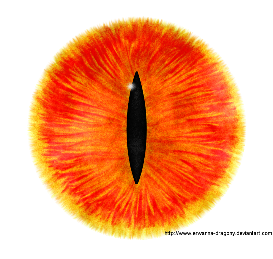 eye clipart orange