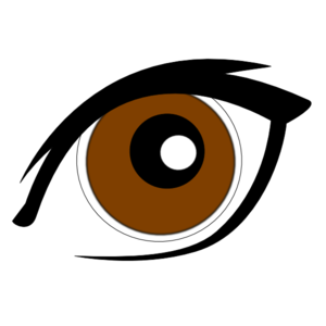 Eyeball clipart brown. Cartoon eye new clip