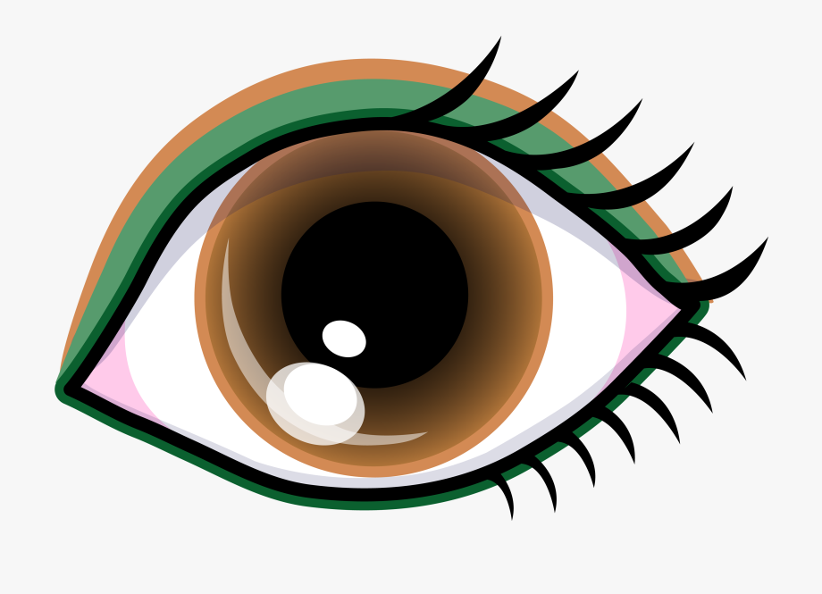 Eyeball clipart brown. Of eyes organ and